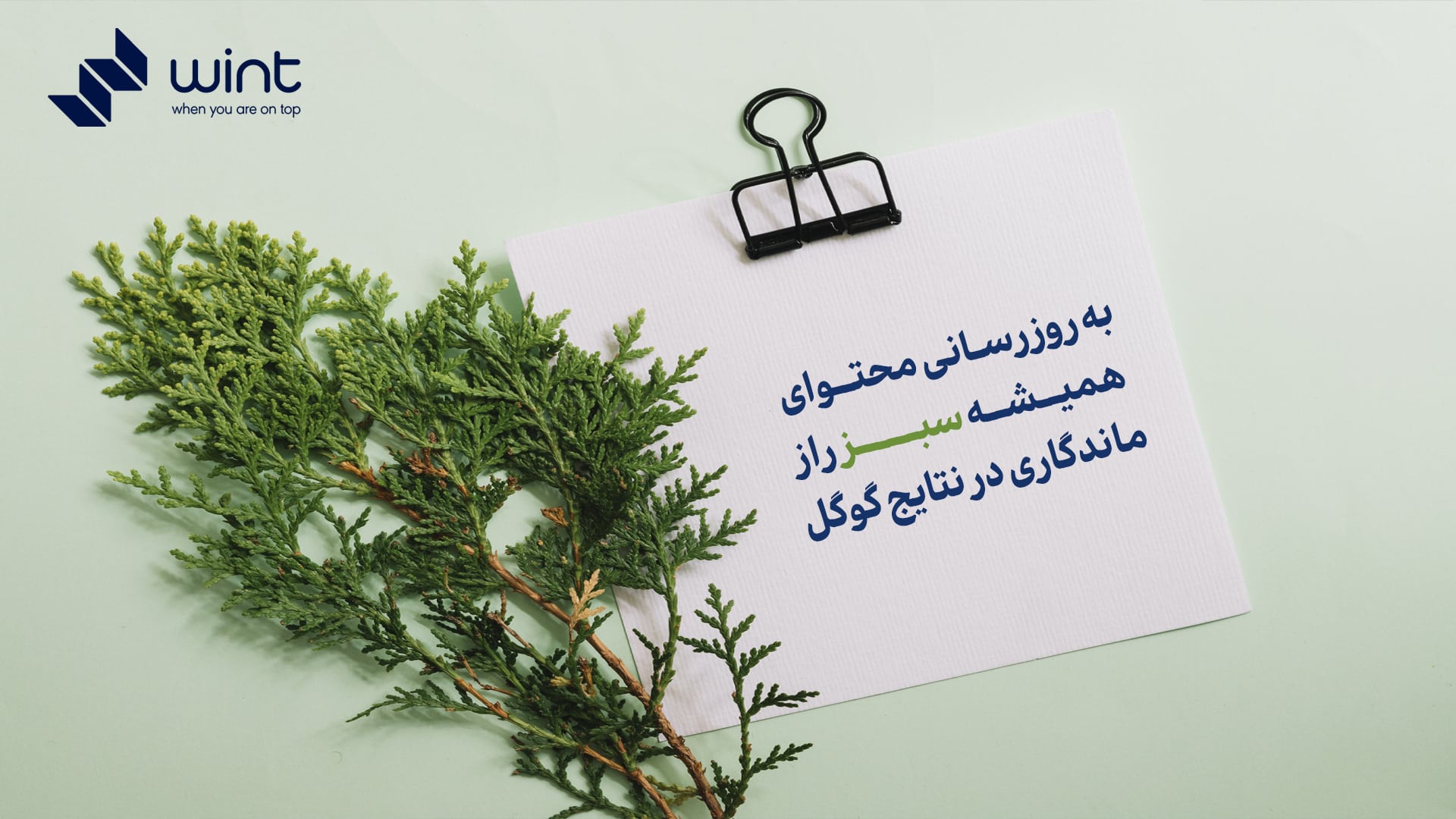 به‌ روزرسانی محتوای همیشه سبز، راز ماندگاری در نتایج گوگل