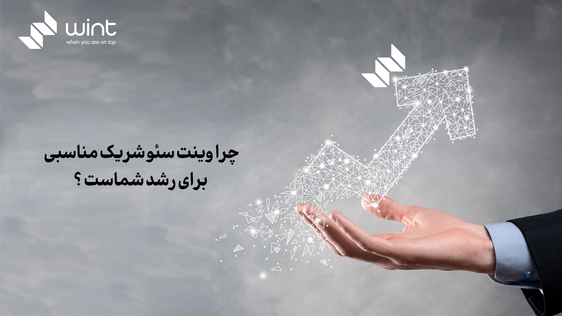 چرا وینت‌ سئو شریک مناسبی برای رشد شماست؟